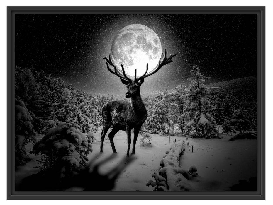 Pixxprint Rentier im Winterwald bei Mondschein, Monochrome, im Schwebe-Effekt Bilderrahmen Osterangebot
