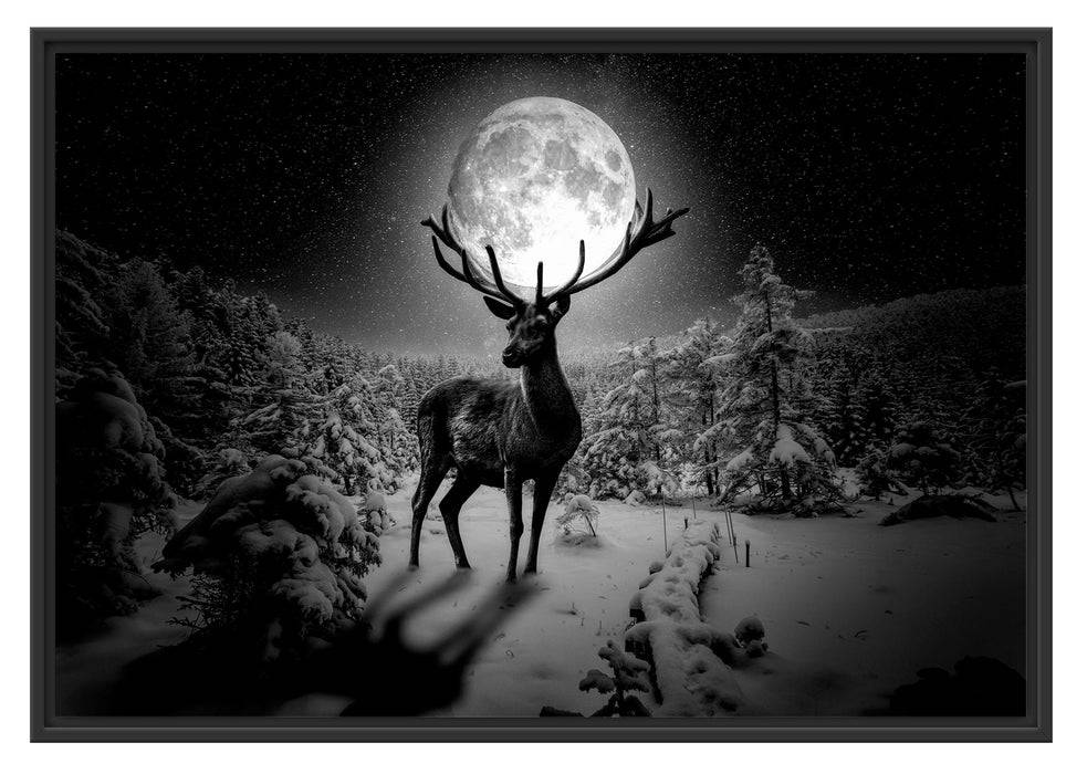 Pixxprint Rentier im Winterwald bei Mondschein, Monochrome, im Schwebe-Effekt Bilderrahmen Osterangebot