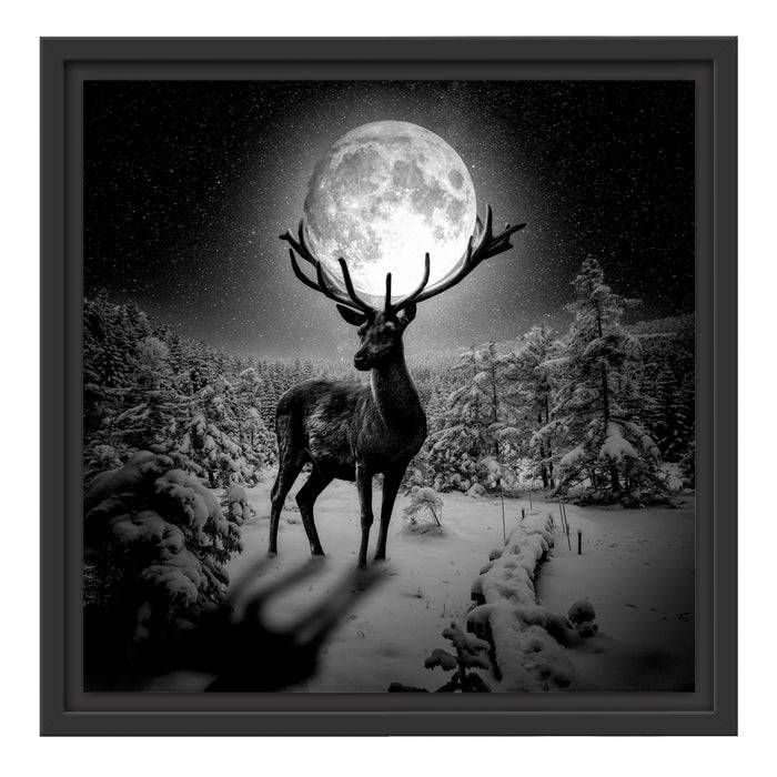 Pixxprint Rentier im Winterwald bei Mondschein, Monochrome, im Schwebe-Effekt Bilderrahmen Osterangebot