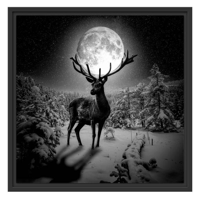 Pixxprint Rentier im Winterwald bei Mondschein, Monochrome, im Schwebe-Effekt Bilderrahmen Osterangebot