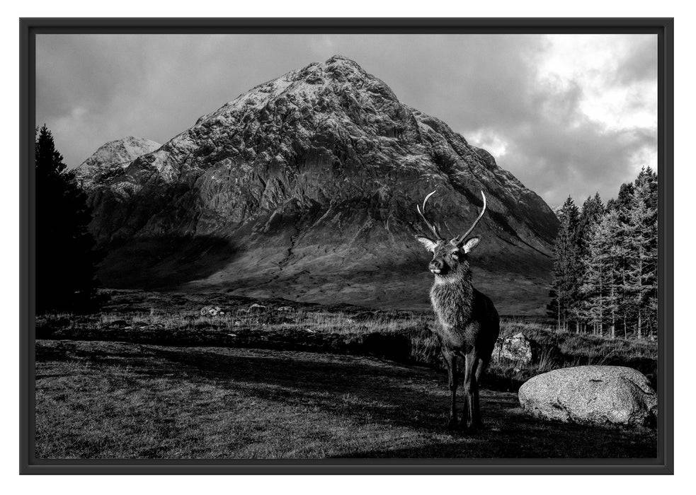 Pixxprint Einsames Rentier vor Berglandschaft, Monochrome, im Schwebe-Effekt Bilderrahmen Blitzangebot