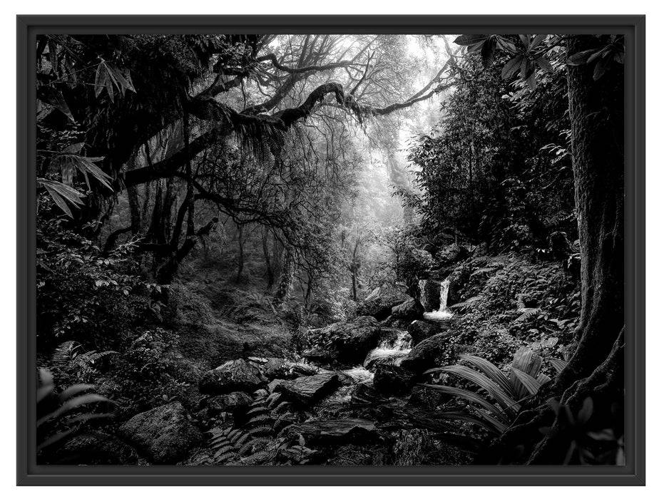 Pixxprint Kleinder Wasserfall im Dschungel, Monochrome, im Schwebe-Effekt Bilderrahmen Neuheiten
