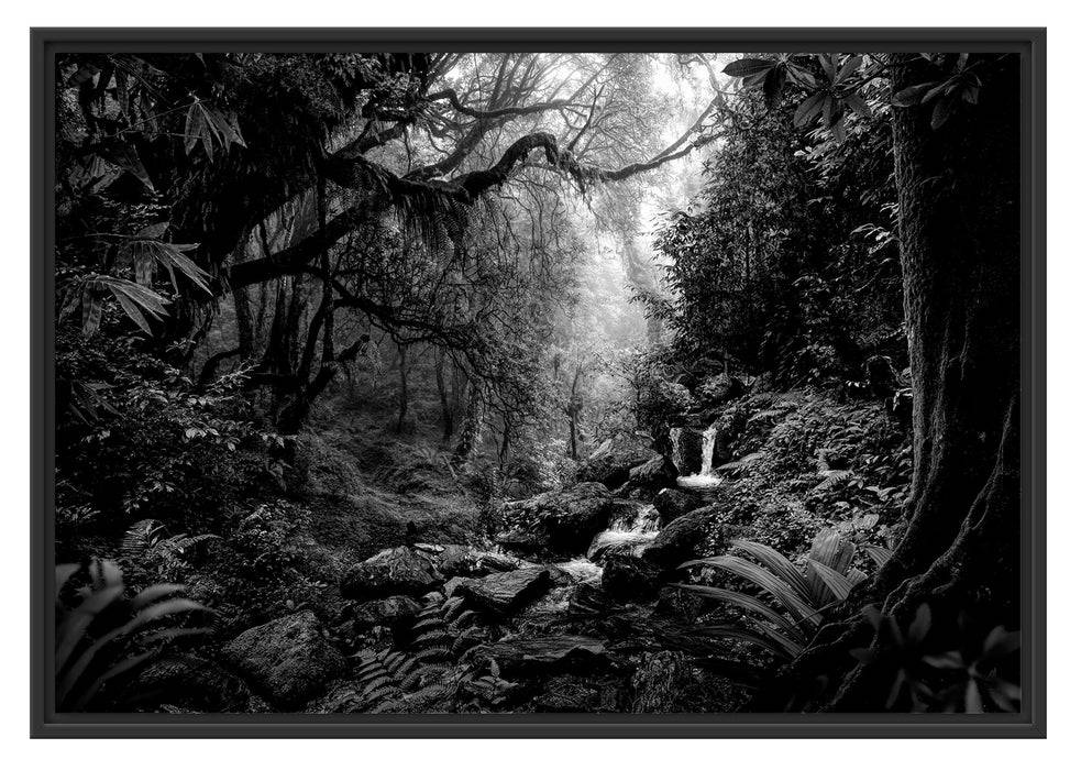Pixxprint Kleinder Wasserfall im Dschungel, Monochrome, im Schwebe-Effekt Bilderrahmen Neuheiten