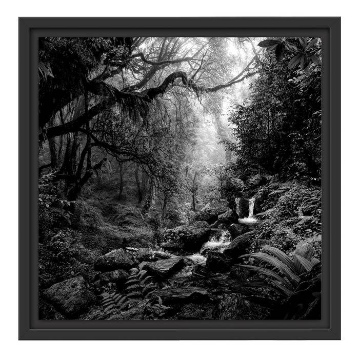 Pixxprint Kleinder Wasserfall im Dschungel, Monochrome, im Schwebe-Effekt Bilderrahmen Neuheiten