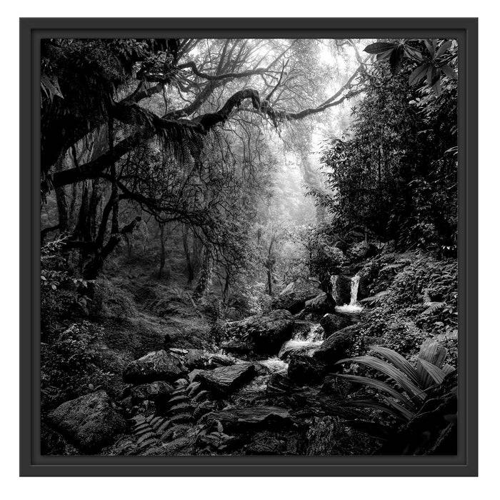 Pixxprint Kleinder Wasserfall im Dschungel, Monochrome, im Schwebe-Effekt Bilderrahmen Neuheiten