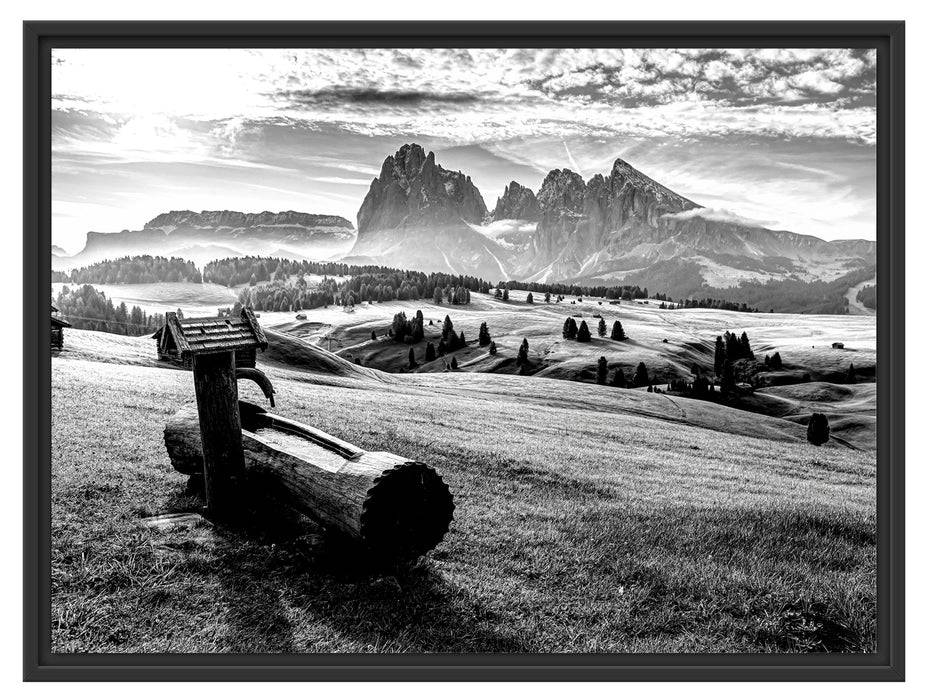 Pixxprint Wassertrog auf Wiese in den Dolomiten, Monochrome, im Schwebe-Effekt Bilderrahmen Wochenangebot