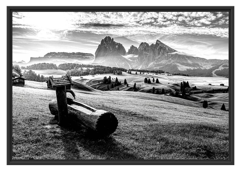 Pixxprint Wassertrog auf Wiese in den Dolomiten, Monochrome, im Schwebe-Effekt Bilderrahmen Wochenangebot