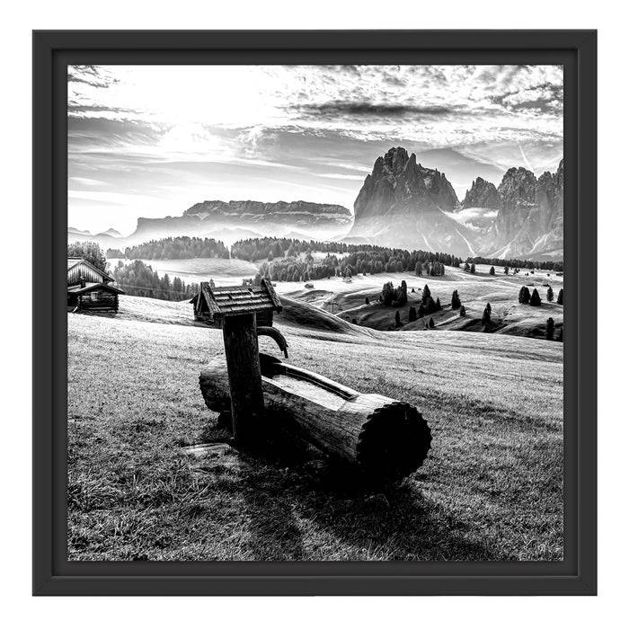 Pixxprint Wassertrog auf Wiese in den Dolomiten, Monochrome, im Schwebe-Effekt Bilderrahmen Wochenangebot