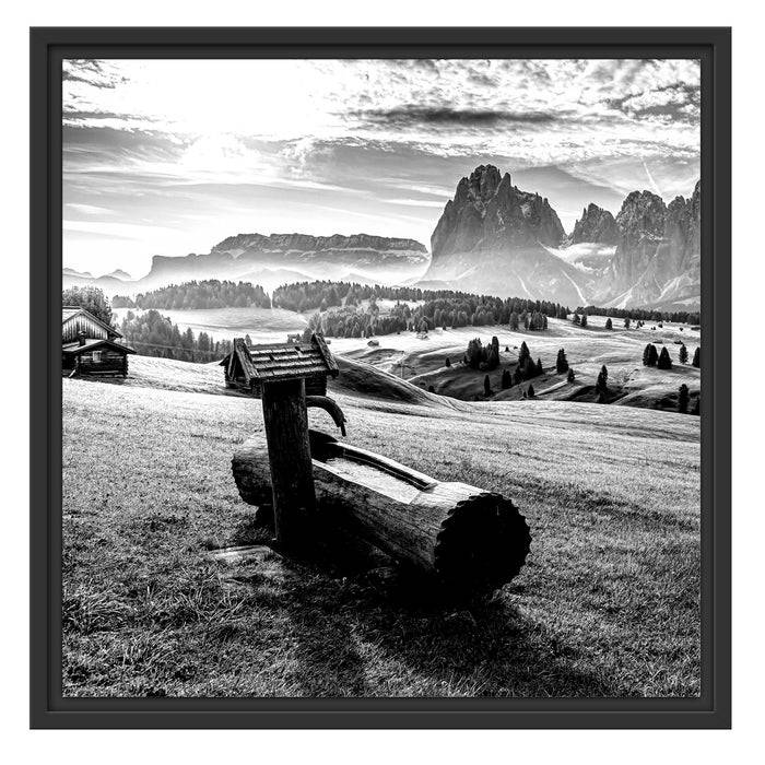 Pixxprint Wassertrog auf Wiese in den Dolomiten, Monochrome, im Schwebe-Effekt Bilderrahmen Wochenangebot