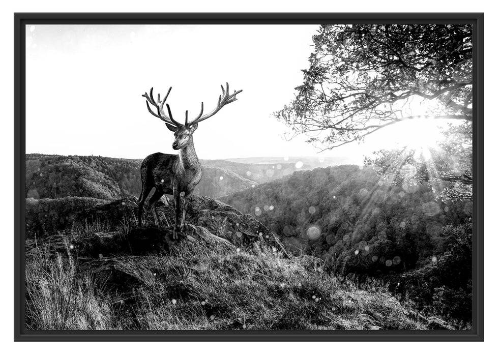 Pixxprint Anmutiger Hirsch bei Sonnenuntergang, Monochrome, im Schwebe-Effekt Bilderrahmen Begrenzte Freigabe