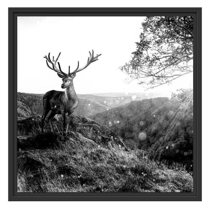 Pixxprint Anmutiger Hirsch bei Sonnenuntergang, Monochrome, im Schwebe-Effekt Bilderrahmen Begrenzte Freigabe