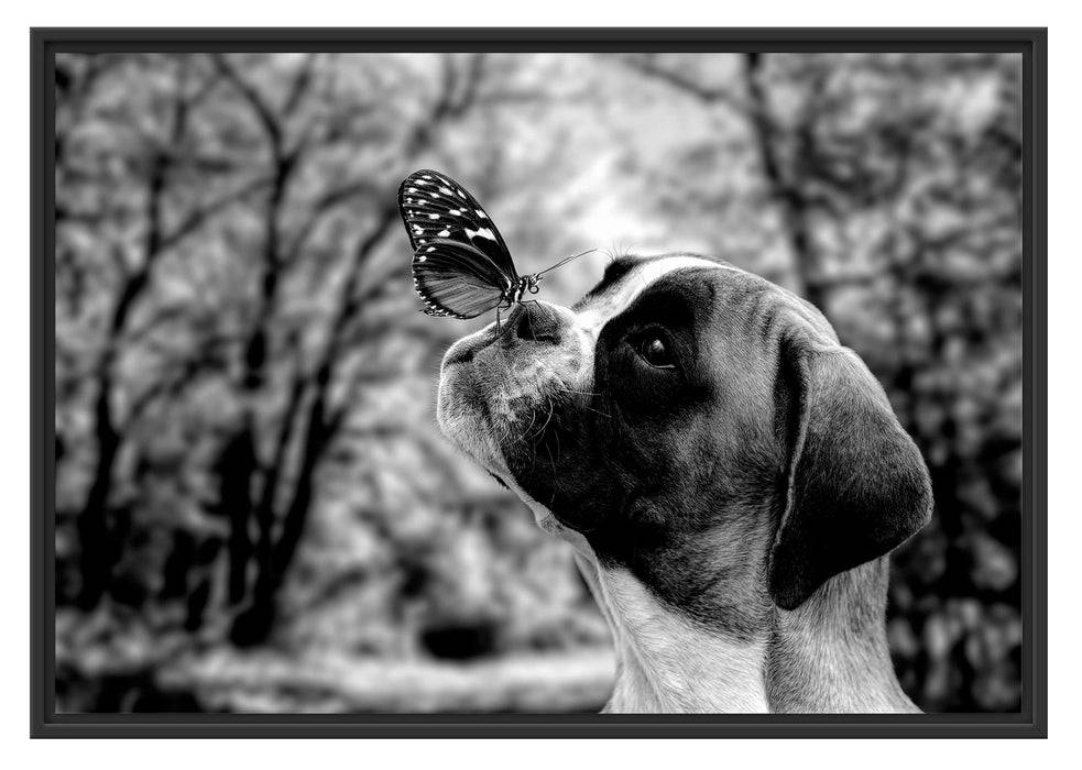 Pixxprint Welpe mit Schmetterling auf der Nase, Monochrome, im Schwebe-Effekt Bilderrahmen Zeitbegrenzte Promotion