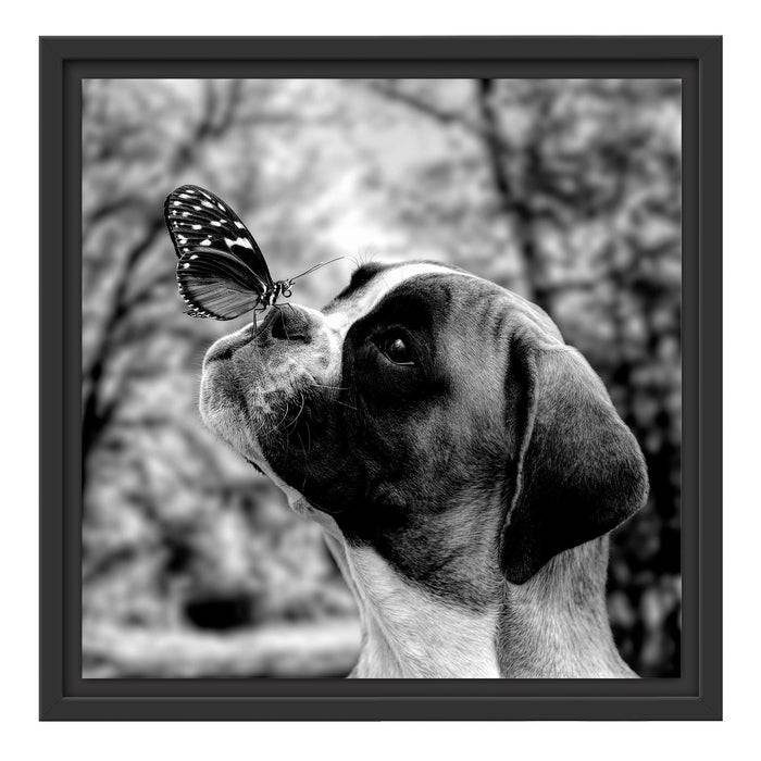 Pixxprint Welpe mit Schmetterling auf der Nase, Monochrome, im Schwebe-Effekt Bilderrahmen Zeitbegrenzte Promotion