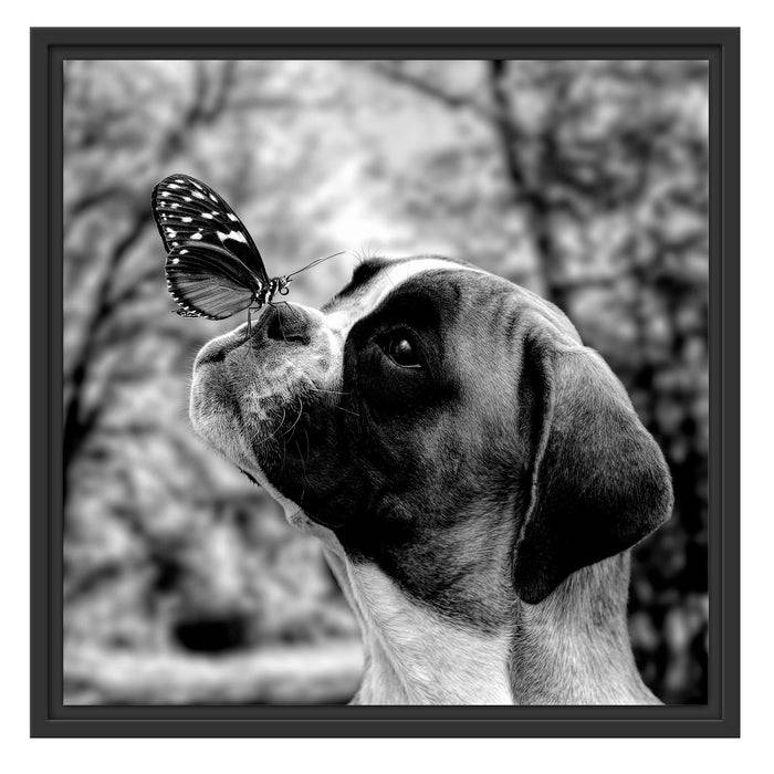 Pixxprint Welpe mit Schmetterling auf der Nase, Monochrome, im Schwebe-Effekt Bilderrahmen Zeitbegrenzte Promotion