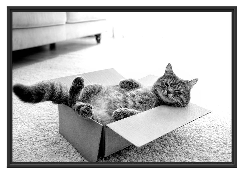 Pixxprint Müde Katze schläft im Karton, Monochrome, im Schwebe-Effekt Bilderrahmen Nur für heute