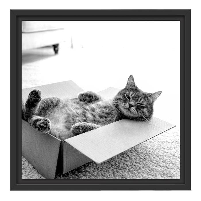 Pixxprint Müde Katze schläft im Karton, Monochrome, im Schwebe-Effekt Bilderrahmen Nur für heute