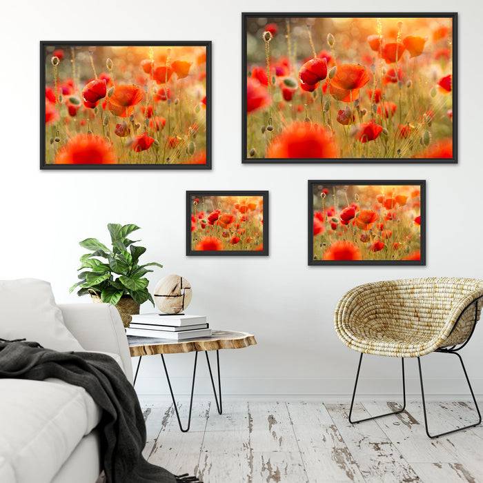 Pixxprint Rote Mohnwiese, im Schwebe-Effekt Bilderrahmen Black Friday Preise