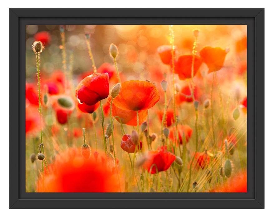 Pixxprint Rote Mohnwiese, im Schwebe-Effekt Bilderrahmen Black Friday Preise