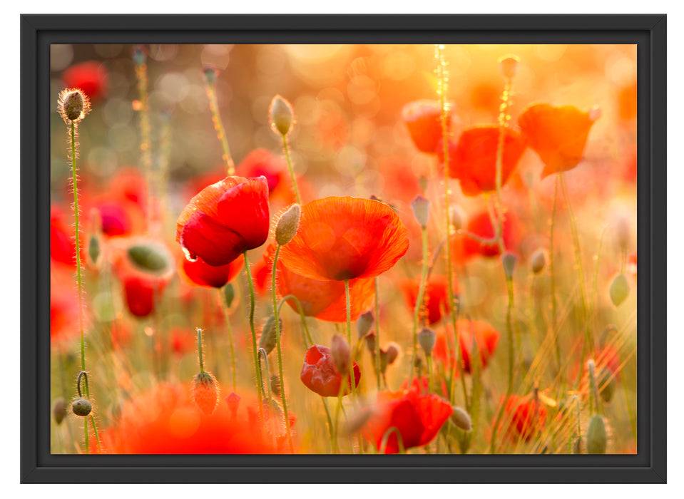 Pixxprint Rote Mohnwiese, im Schwebe-Effekt Bilderrahmen Black Friday Preise