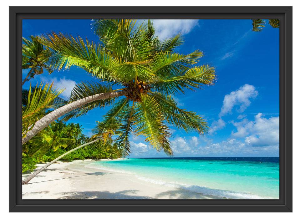 Pixxprint Palmenstrand, im Schwebe-Effekt Bilderrahmen Online