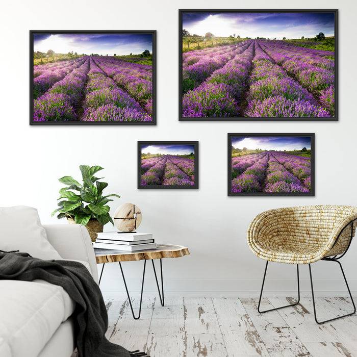 Pixxprint Lavendelfeld Provence, im Schwebe-Effekt Bilderrahmen Verkauf