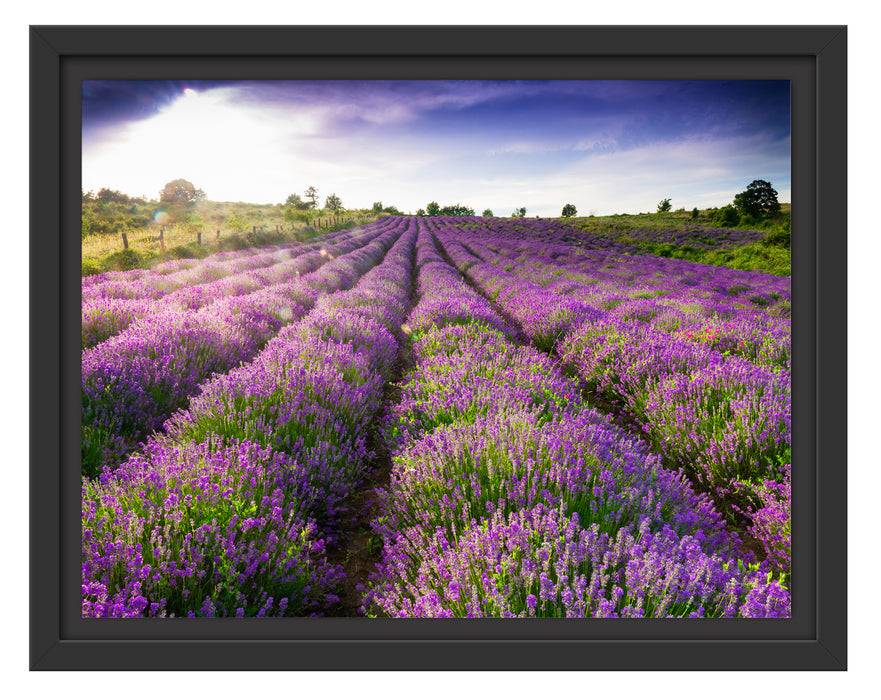 Pixxprint Lavendelfeld Provence, im Schwebe-Effekt Bilderrahmen Verkauf