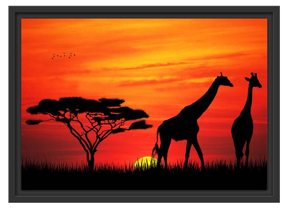 Pixxprint Afrika Giraffen im Sonnenuntergang, im Schwebe-Effekt Bilderrahmen im Angebot