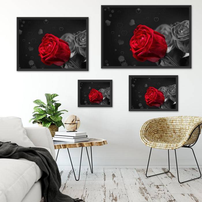 Pixxprint rote Rosen zum Valentinstag, im Schwebe-Effekt Bilderrahmen Limitierter Zeitrabatt