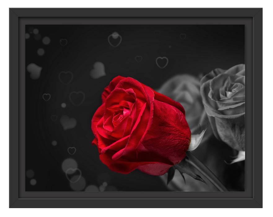 Pixxprint rote Rosen zum Valentinstag, im Schwebe-Effekt Bilderrahmen Limitierter Zeitrabatt