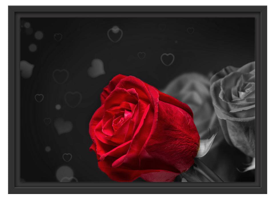 Pixxprint rote Rosen zum Valentinstag, im Schwebe-Effekt Bilderrahmen Limitierter Zeitrabatt
