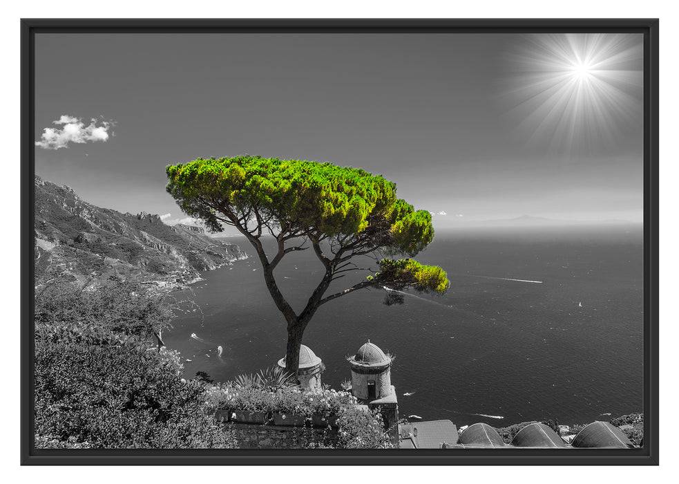 Pixxprint Baum am Mittelmeer, im Schwebe-Effekt Bilderrahmen Sonderangebot