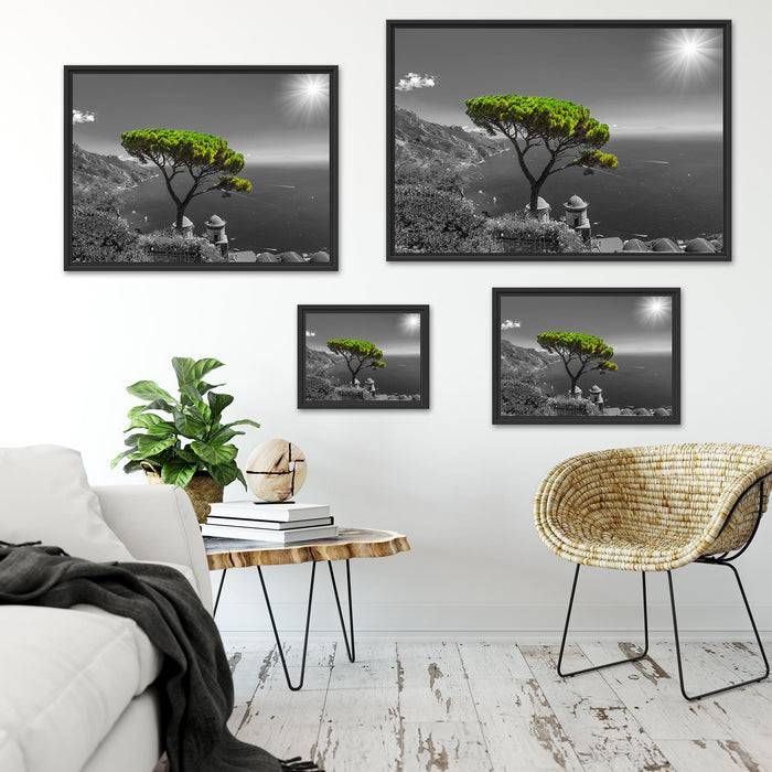 Pixxprint Baum am Mittelmeer, im Schwebe-Effekt Bilderrahmen Sonderangebot