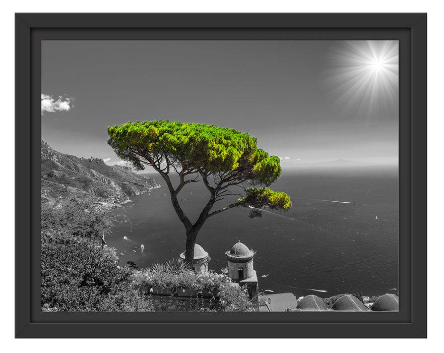 Pixxprint Baum am Mittelmeer, im Schwebe-Effekt Bilderrahmen Sonderangebot