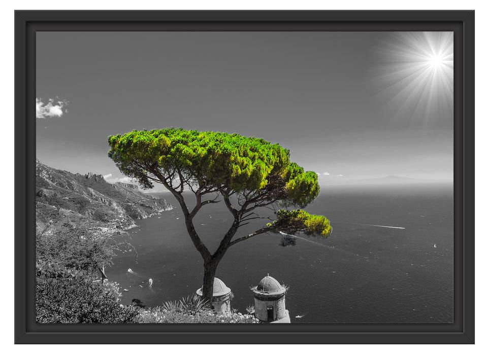 Pixxprint Baum am Mittelmeer, im Schwebe-Effekt Bilderrahmen Sonderangebot