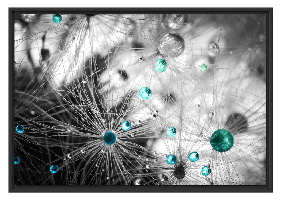 Pixxprint Wassertropfen auf Pusteblume, im Schwebe-Effekt Bilderrahmen Versandkostenfrei