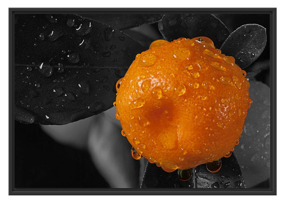 Pixxprint Orange mit Wassertropfen, im Schwebe-Effekt Bilderrahmen Preisnachlass
