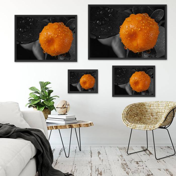 Pixxprint Orange mit Wassertropfen, im Schwebe-Effekt Bilderrahmen Preisnachlass