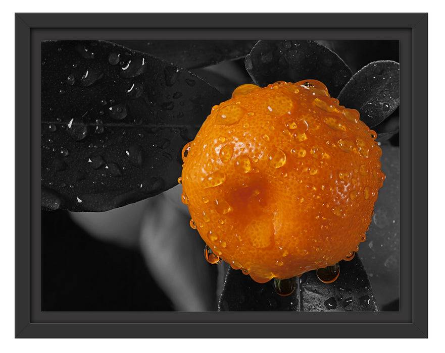 Pixxprint Orange mit Wassertropfen, im Schwebe-Effekt Bilderrahmen Preisnachlass