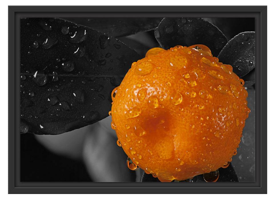 Pixxprint Orange mit Wassertropfen, im Schwebe-Effekt Bilderrahmen Preisnachlass