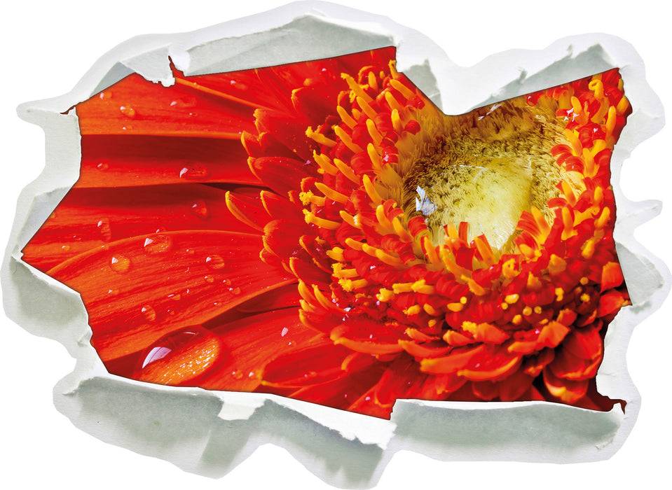 Pixxprint Wunderschöne Gerberablüte, 3D Wandtattoo Heißer Verkauf