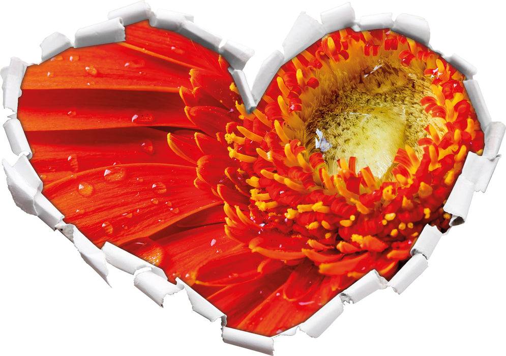 Pixxprint Wunderschöne Gerberablüte, 3D Wandtattoo Heißer Verkauf