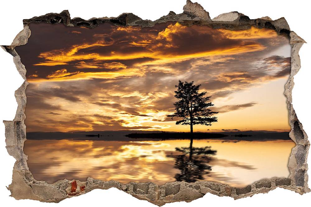 Pixxprint Einsamer Baum auf Insel, 3D Wandtattoo