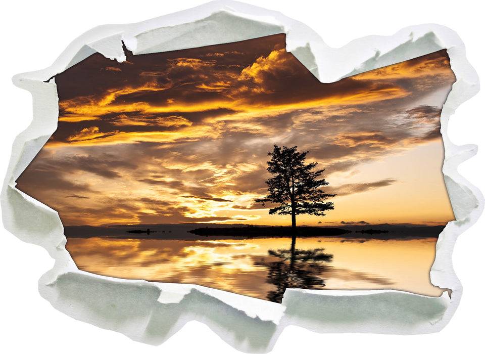 Pixxprint Einsamer Baum auf Insel, 3D Wandtattoo Räumungsverkauf