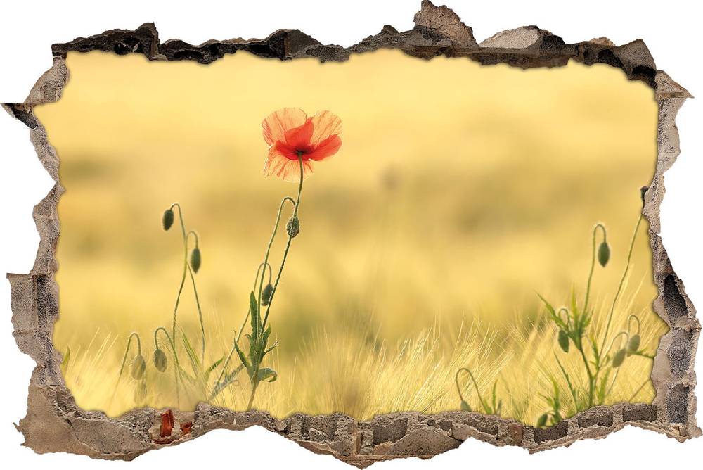 Pixxprint Wunderschöne Mohnblume im Feld, 3D Wandtattoo Kauf eins, bekomm eins gratis