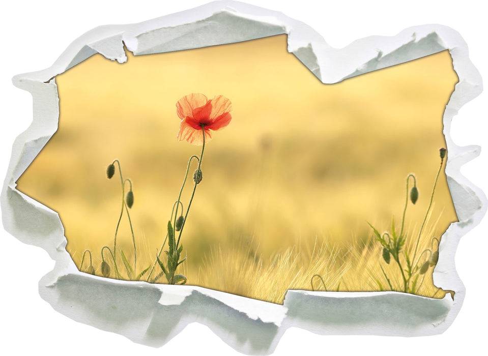 Pixxprint Wunderschöne Mohnblume im Feld, 3D Wandtattoo Kauf eins, bekomm eins gratis
