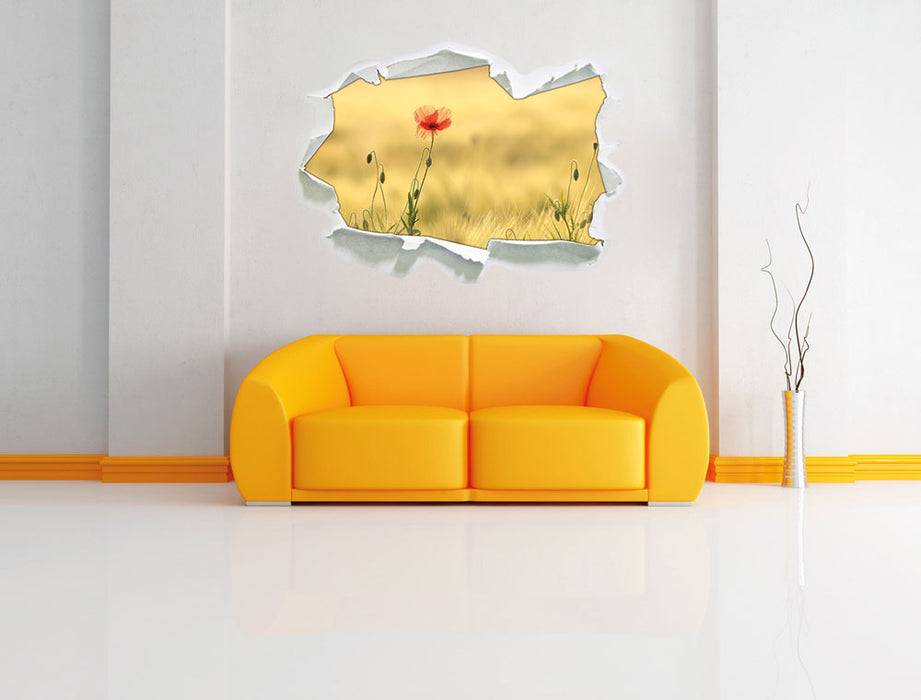 Pixxprint Wunderschöne Mohnblume im Feld, 3D Wandtattoo Kauf eins, bekomm eins gratis