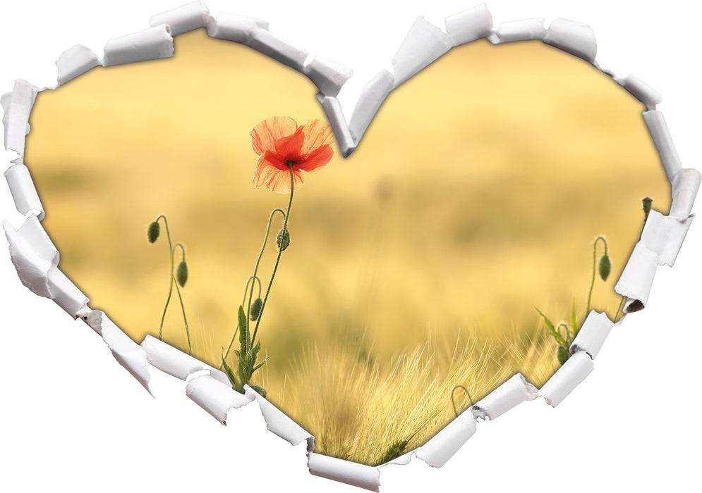 Pixxprint Wunderschöne Mohnblume im Feld, 3D Wandtattoo Kauf eins, bekomm eins gratis