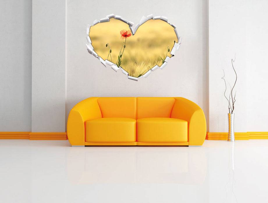 Pixxprint Wunderschöne Mohnblume im Feld, 3D Wandtattoo Kauf eins, bekomm eins gratis