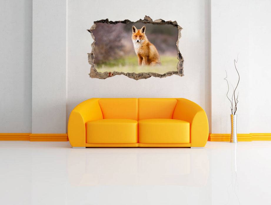 Pixxprint Listiger Fuchs, 3D Wandtattoo Bis zu 50% Rabatt
