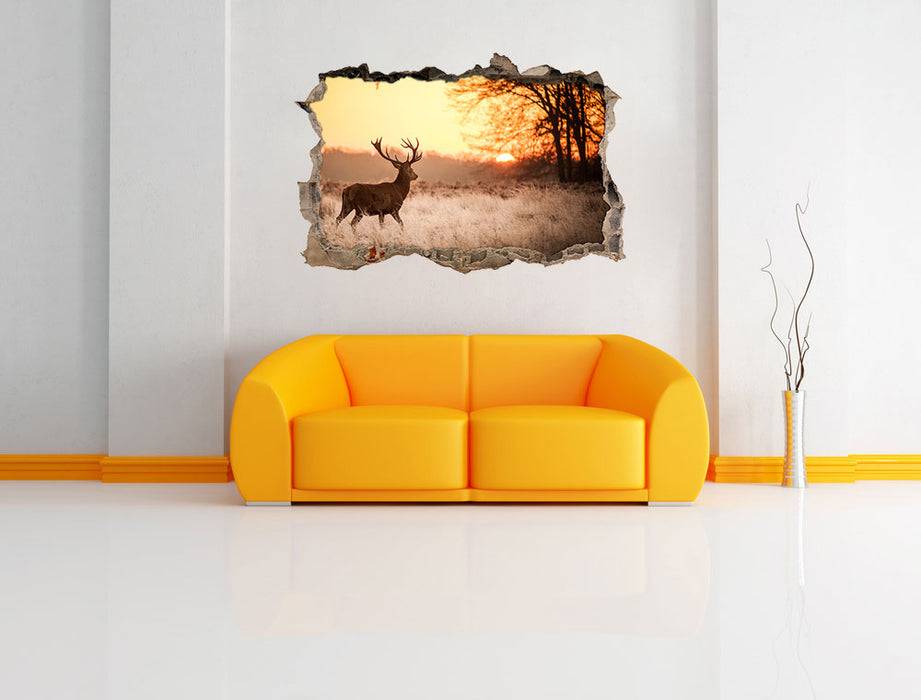 Pixxprint Hirsch im Sonnenuntergang, 3D Wandtattoo Bis zu 65% Rabatt